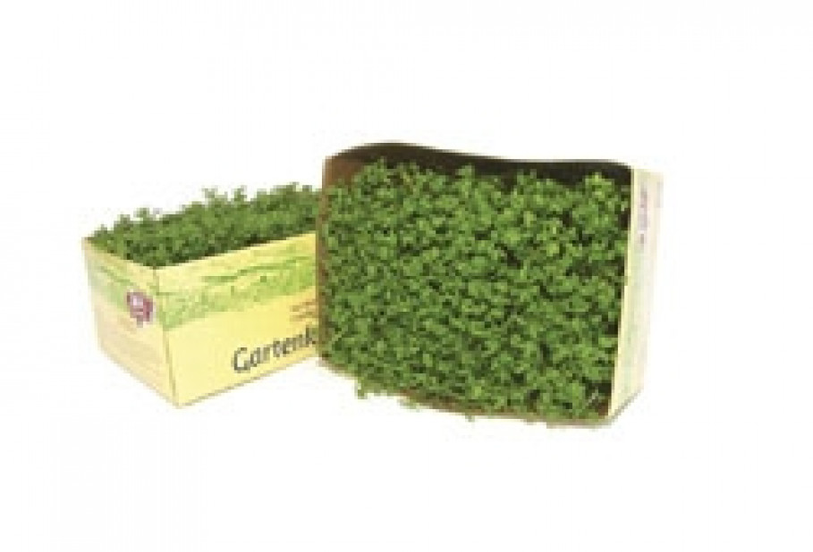 Garden Cress from Oekohof Feldinger